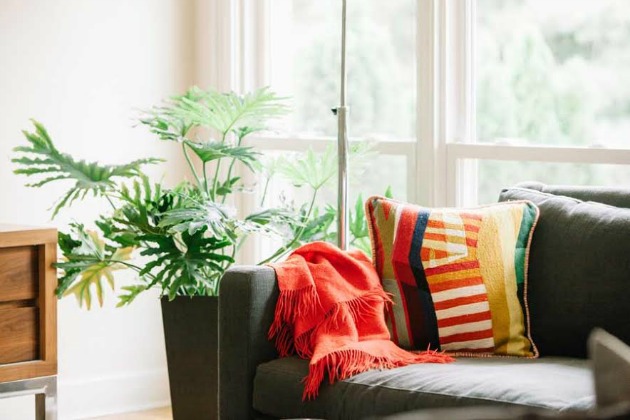live in color- spring interior home design ideas