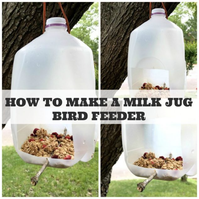Milk Jug Bird Feeder
