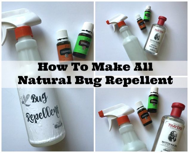 make natural insect repellent