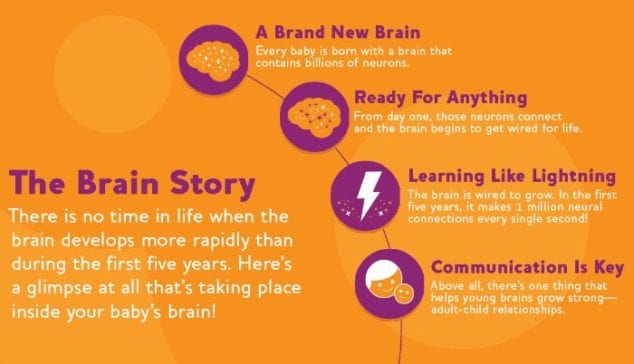 Baby Brain Story