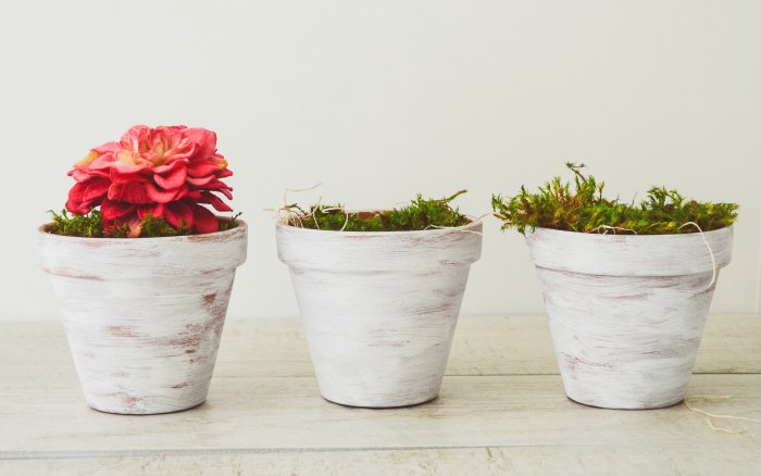 decorative planter pots- handmade mother's day gifts