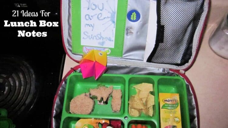 lunch box encouragement notes